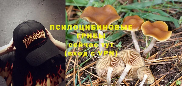 соль курить ск Белокуриха