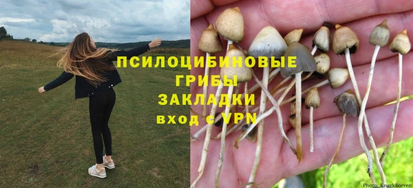 соль курить ск Белокуриха