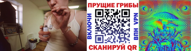 Псилоцибиновые грибы Psilocybe  наркотики  кракен онион  Дмитриев 