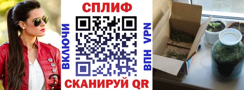 Канабис планчик  где можно купить   Дмитриев 